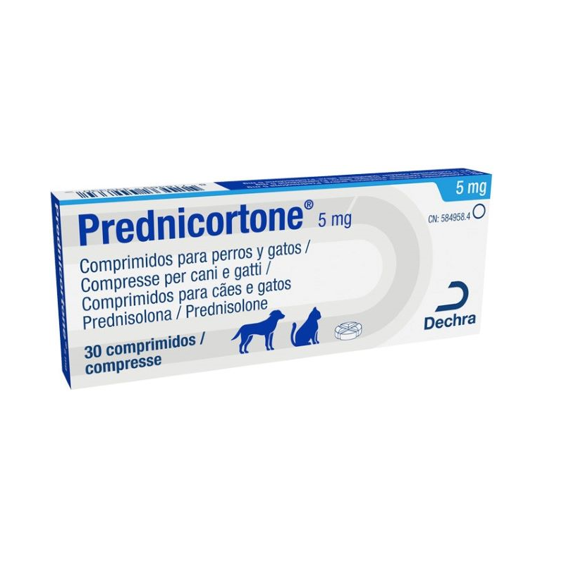 Coût prednisolone