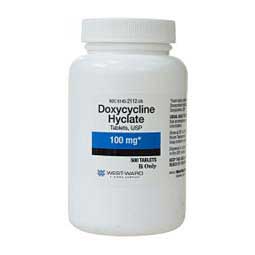 commander doxycycline