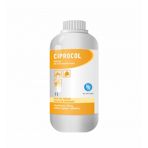 Cipro 500 online
