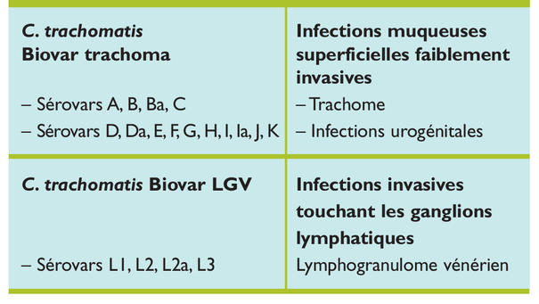 azithromycin online europe
