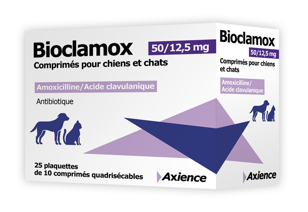 Amoxil acheter