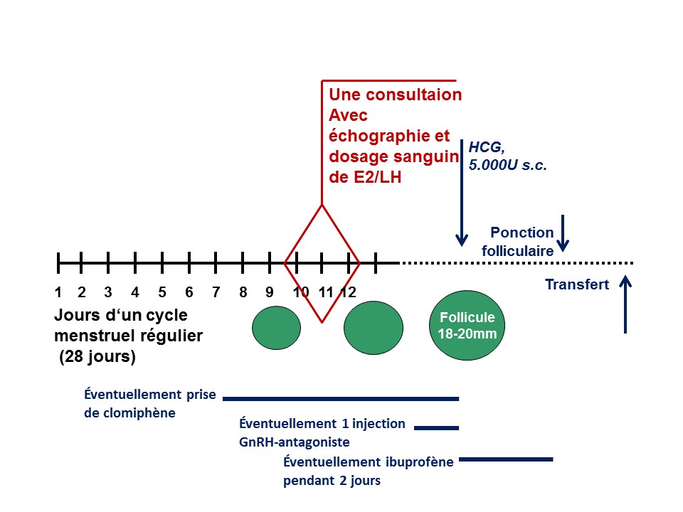 Coût Du Clomiphene