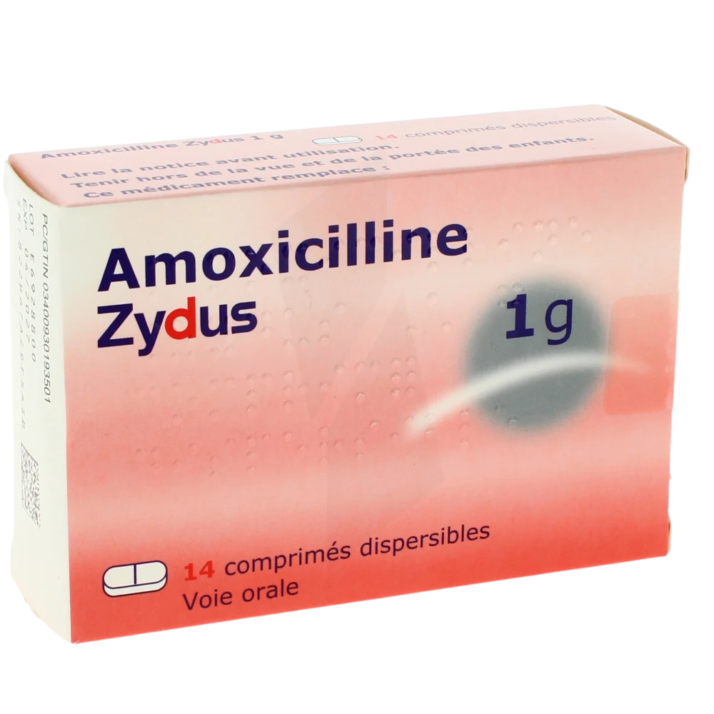 Amoxicilline mylan pharma prix