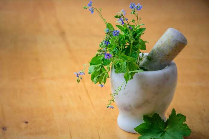 Pilule Viagra Naturel