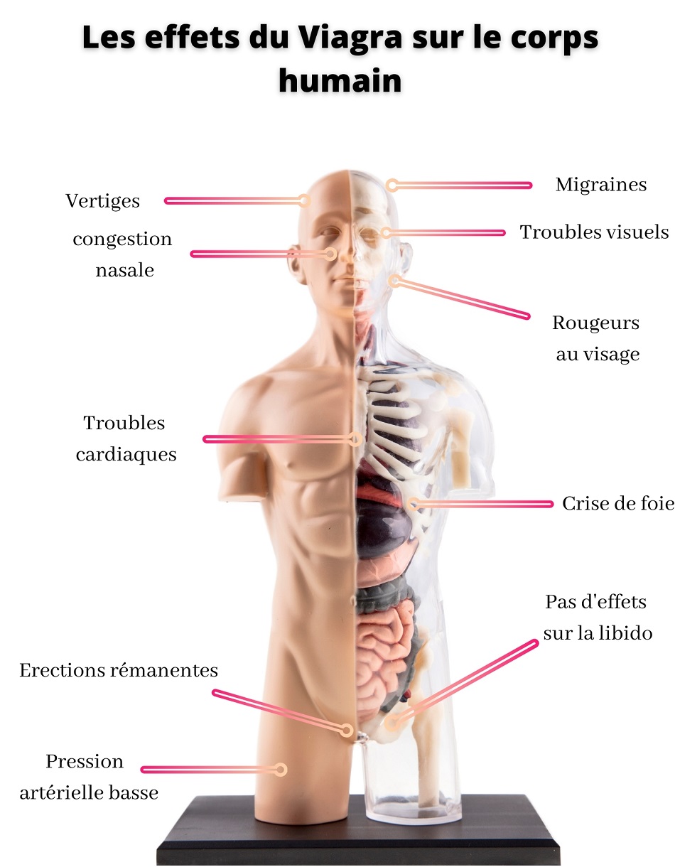 pilule kamagra avis