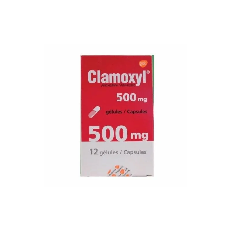 amoxicilline 1g commander