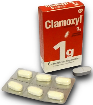 prix amoxicilline 1g