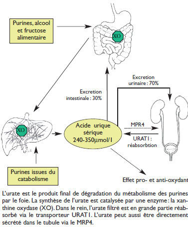 furosémide 100mg