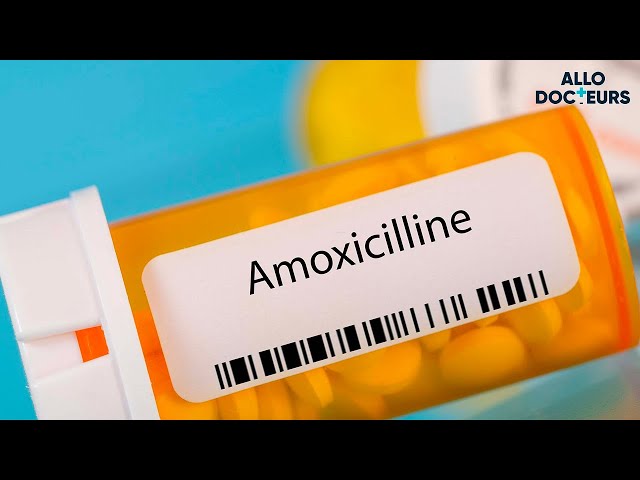 Commander Amoxicillin