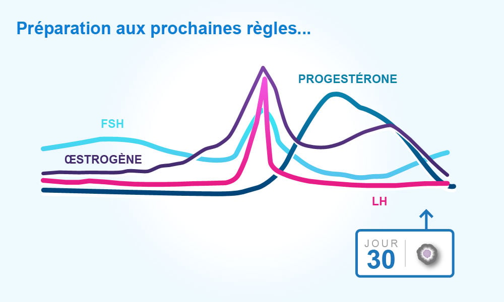 coût du oestrogènes conjugués