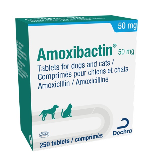 Amoxicilline Sans Ordonnance En Pharmacie