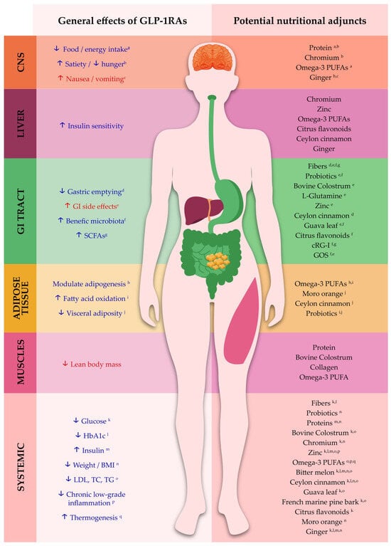 phentermine in france