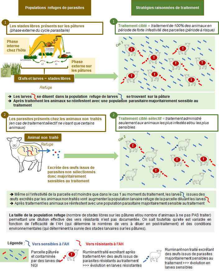 Ivermectin Générique