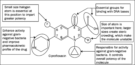 Ciprofloxacin 500 Mg Qid