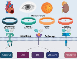 Metformin er online