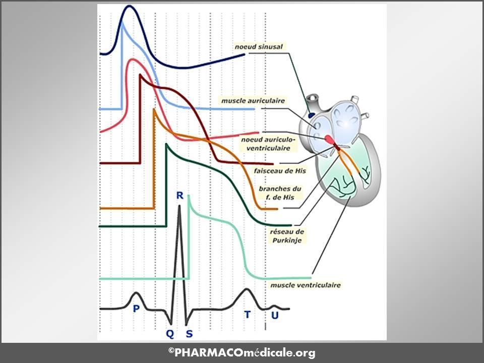 Propranolol 20 Mg Palpitations