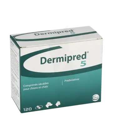 Prednisolone Achat