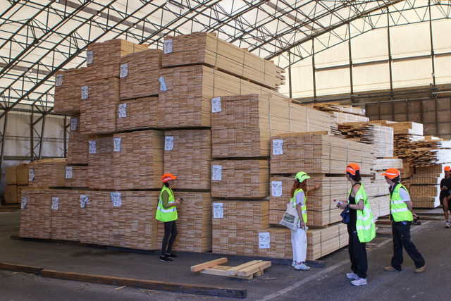 Nolvadex pilules