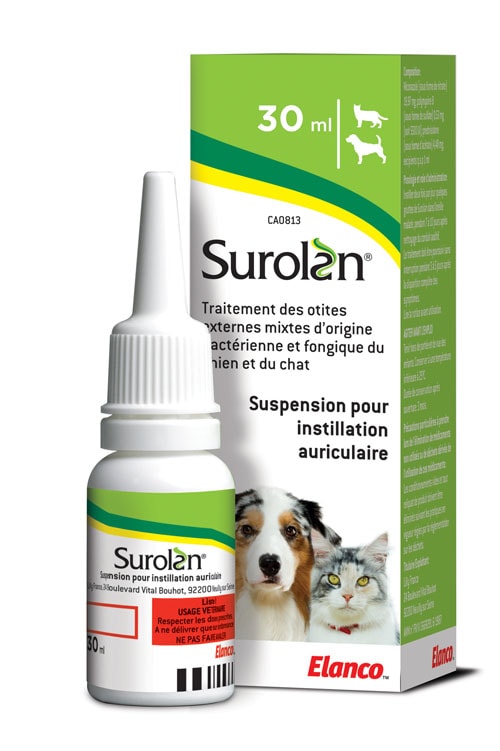 Commander Prednisolone En Ligne