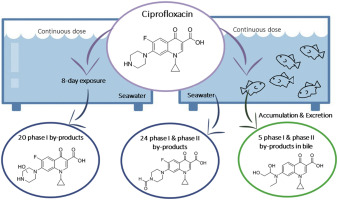Ciprofloxacin France