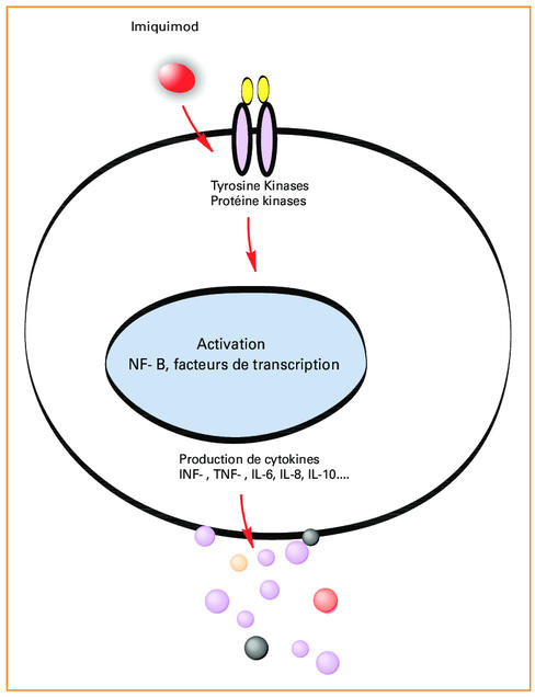 aldara acheter en ligne