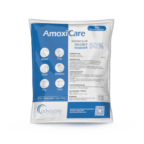 Amoxicillin Achat