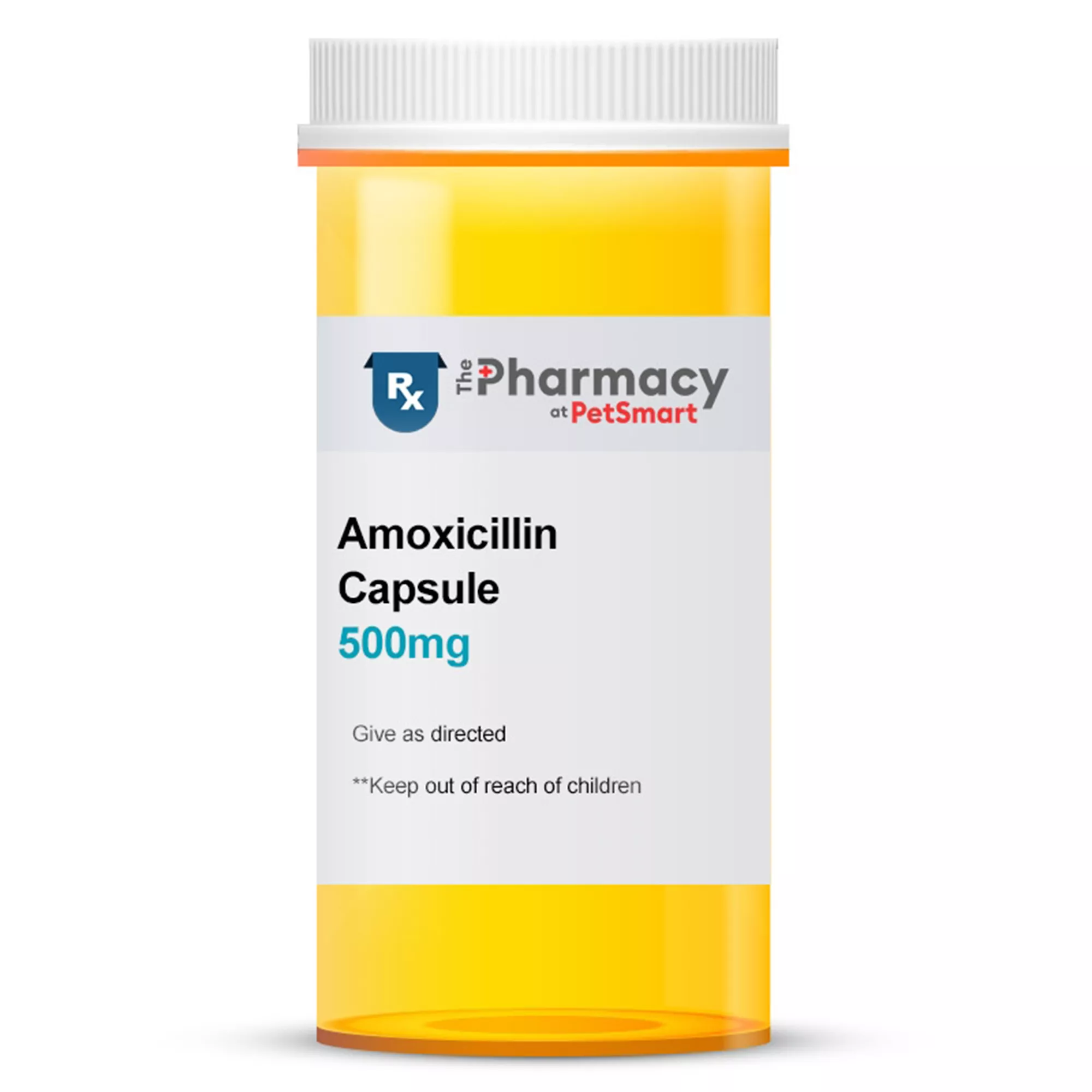 Amoxil le moins cher