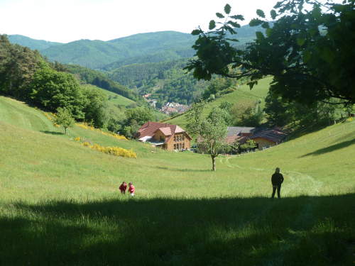 Cialis online acheter