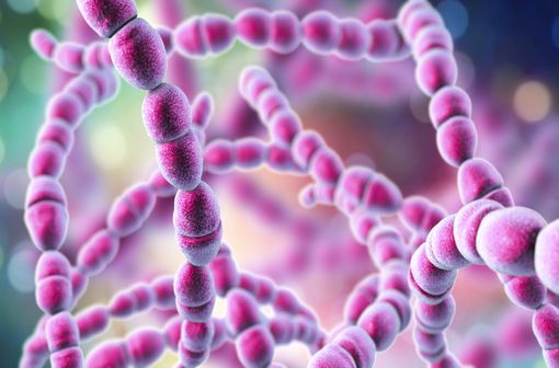 Comment acheter du amoxil