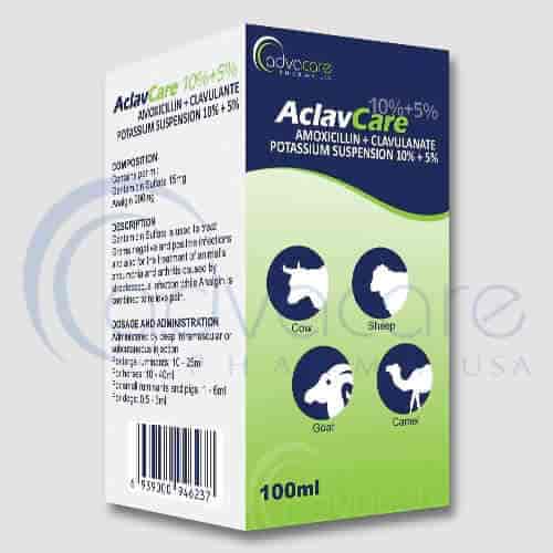 amoxicillin clavulanate online Amoxicillin clavulanate online