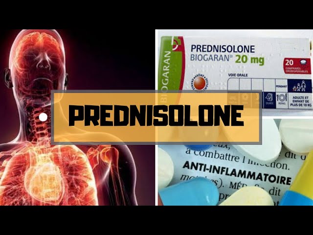 prednisolone est le generique de quel medicament