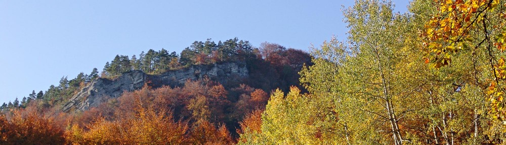 Penegra pilules