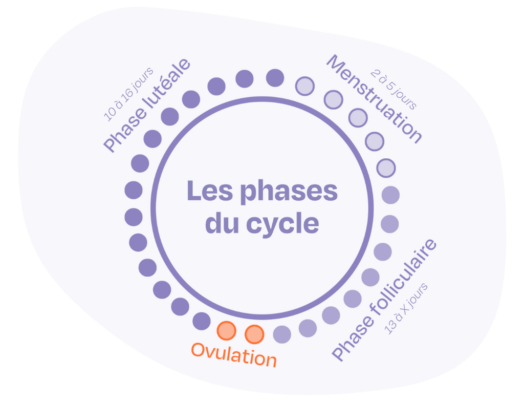 Comment Acheter Du Clomid