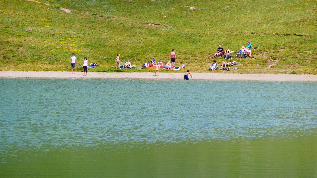 silvitra comment acheter