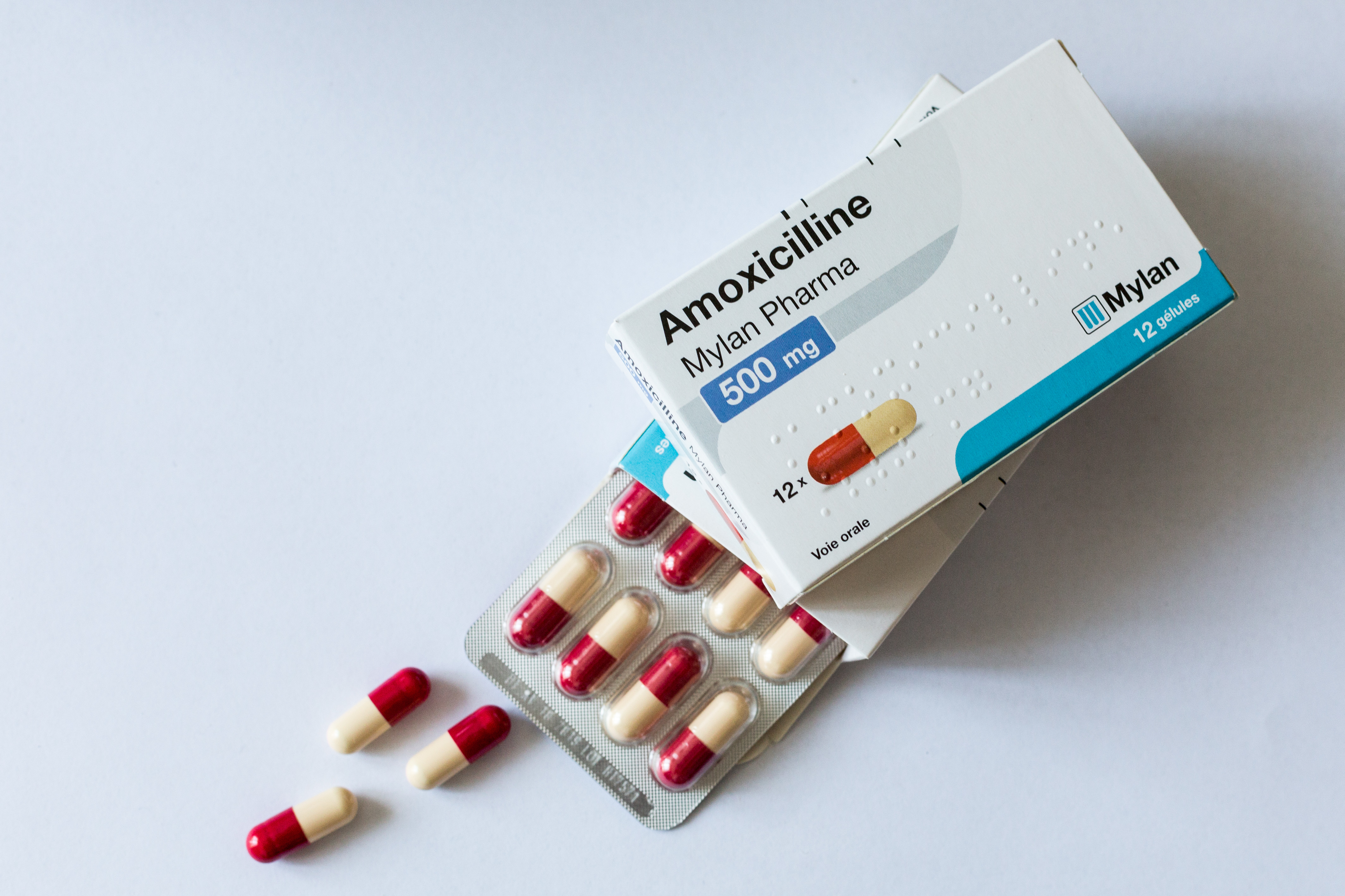 prix de lamoxicilline