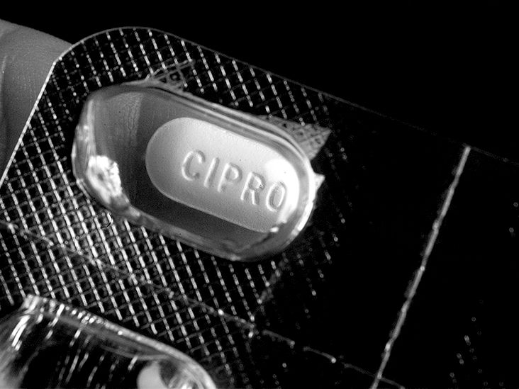 Ordre cipro