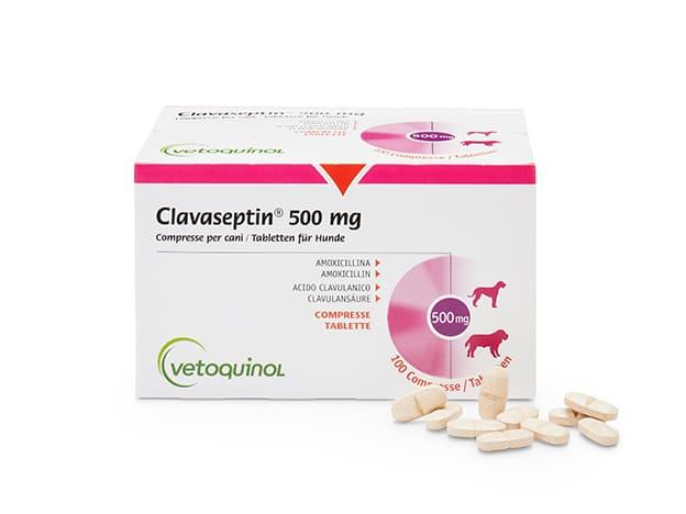 amoxicillin 500mg