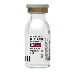 Zithromax 500 Mg Ivpb