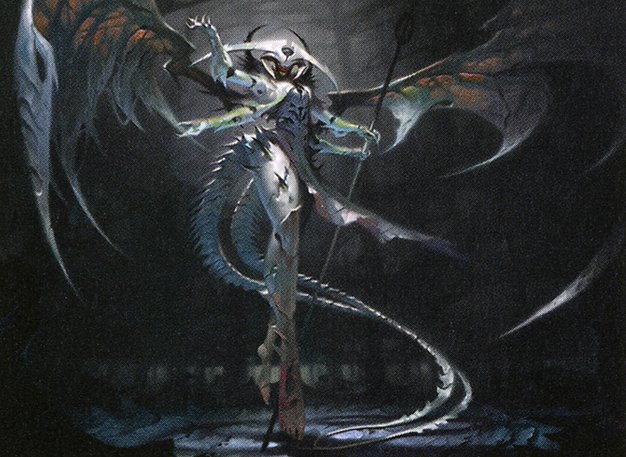 Commander eriacta