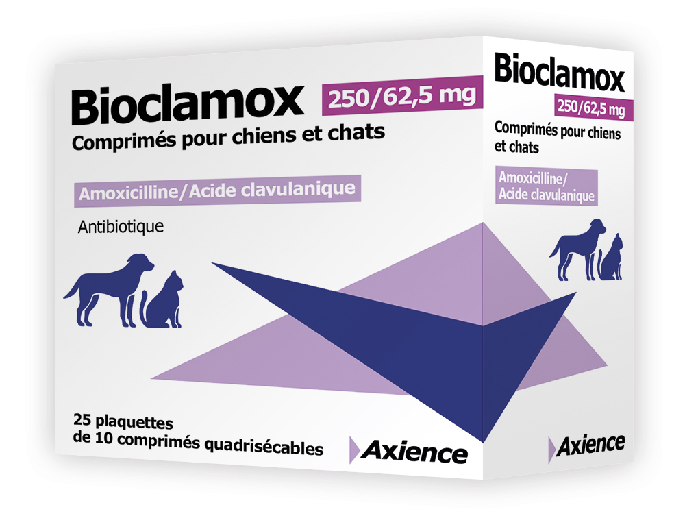 Coût Du Amoxicillin