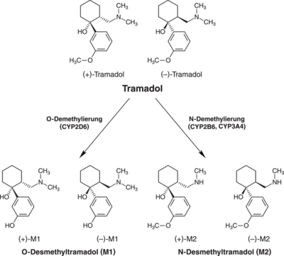 commander du tramadol