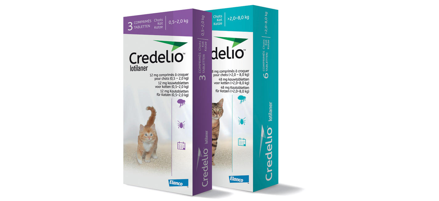 Prix Du Tramadol Pour Chien