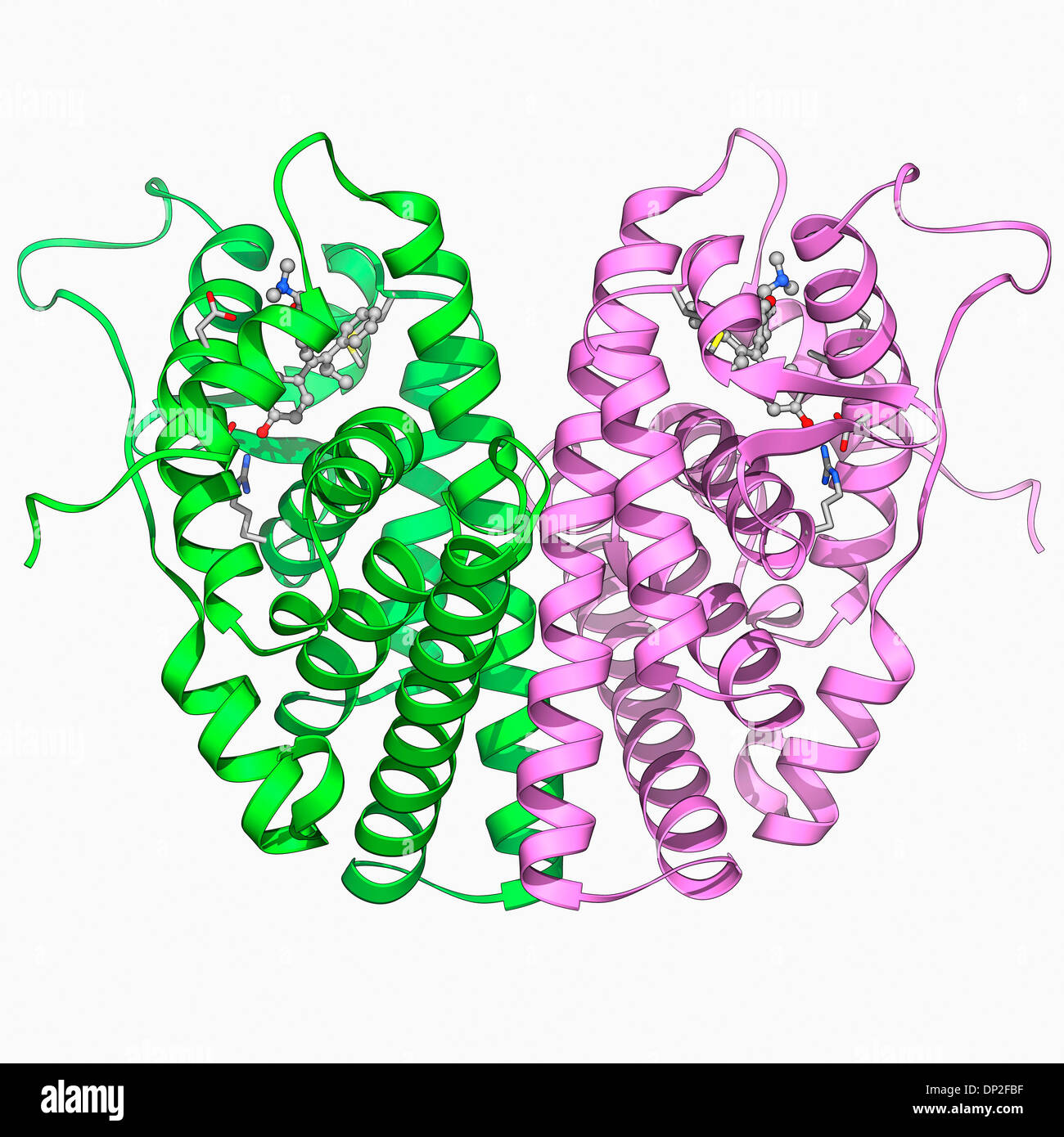 Tamoxifen Acheter