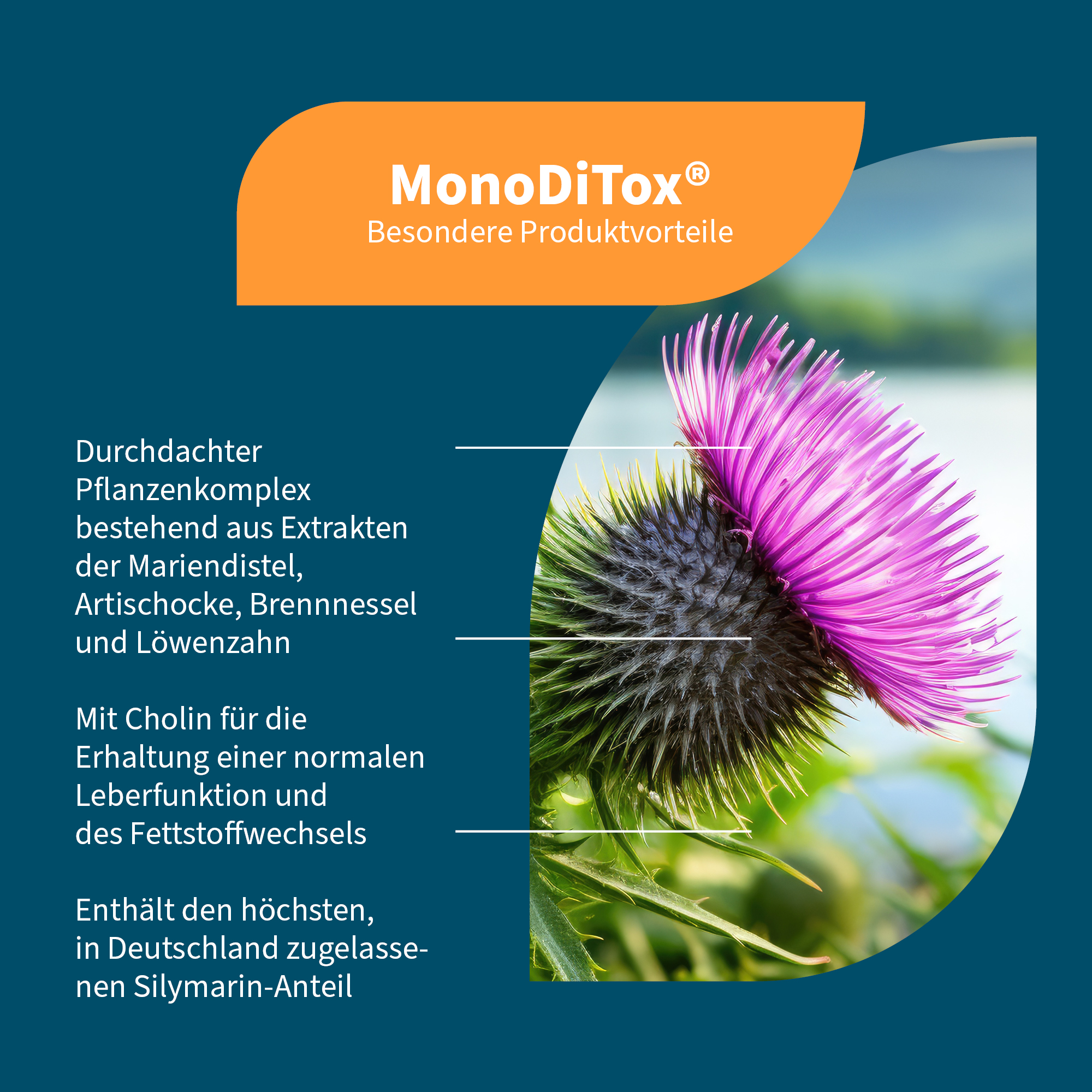 Monodox pharmacie online