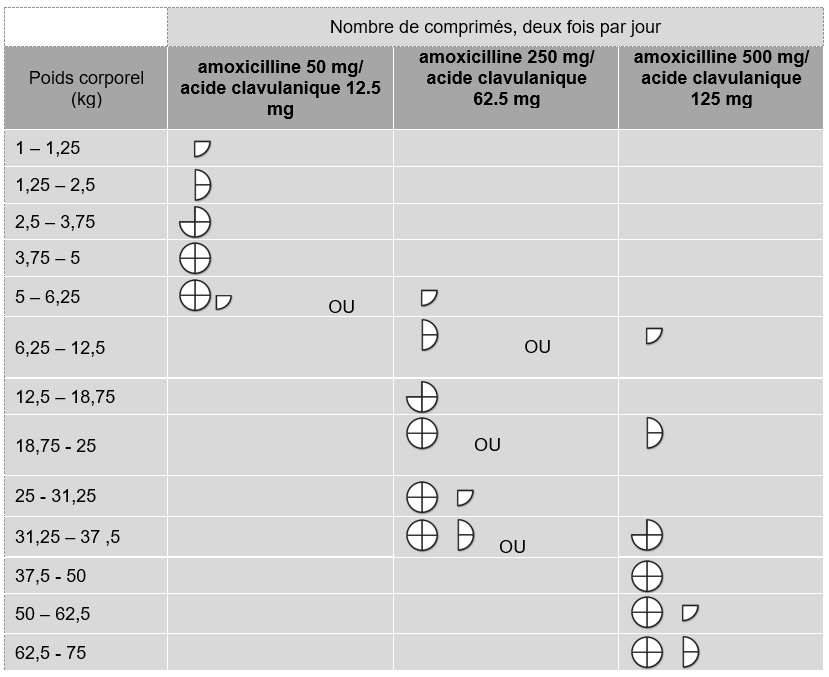 Amoxicilline Pour Chat Prix