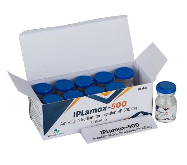 Amoxicillin France