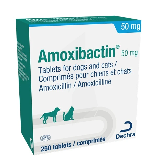 Acheter Amoxil