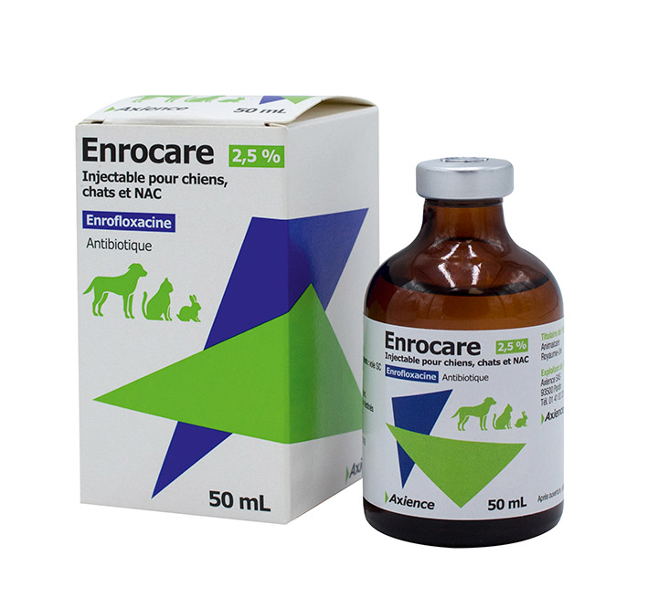 Amoxicilline pour chat sans ordonnance