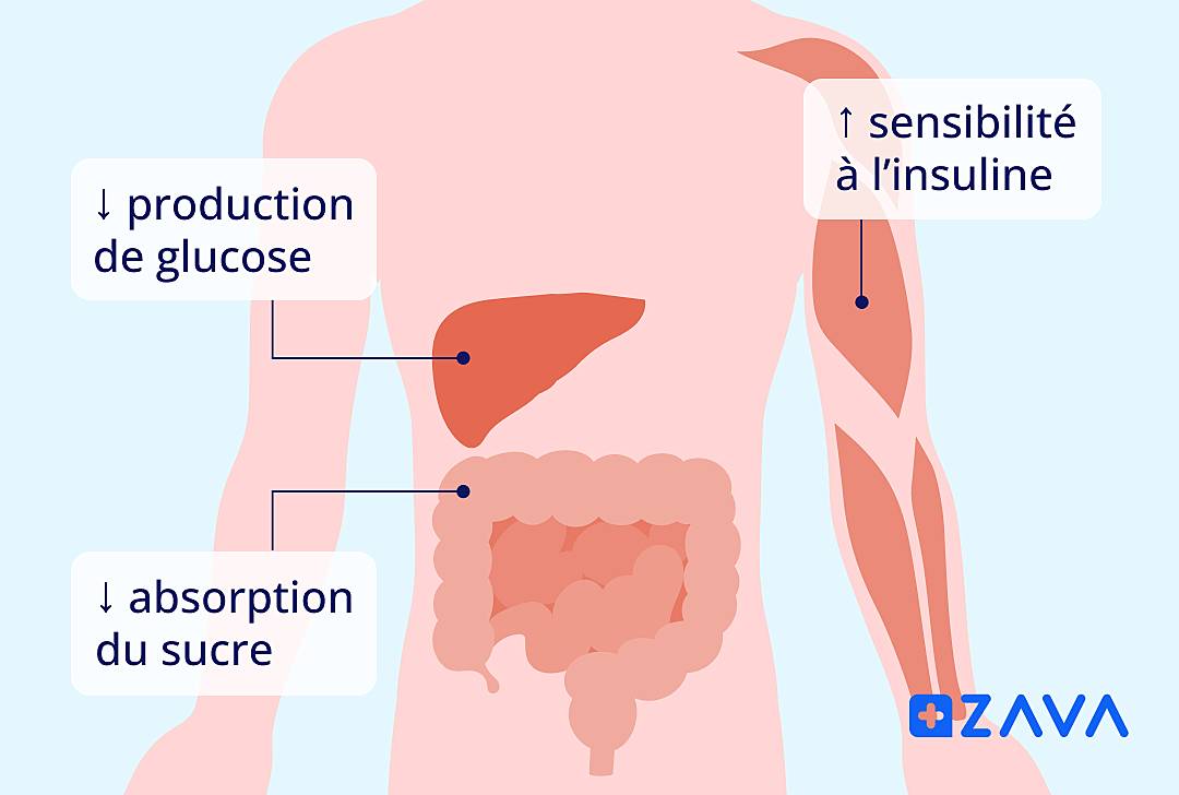 glucophage 850 sans ordonnance