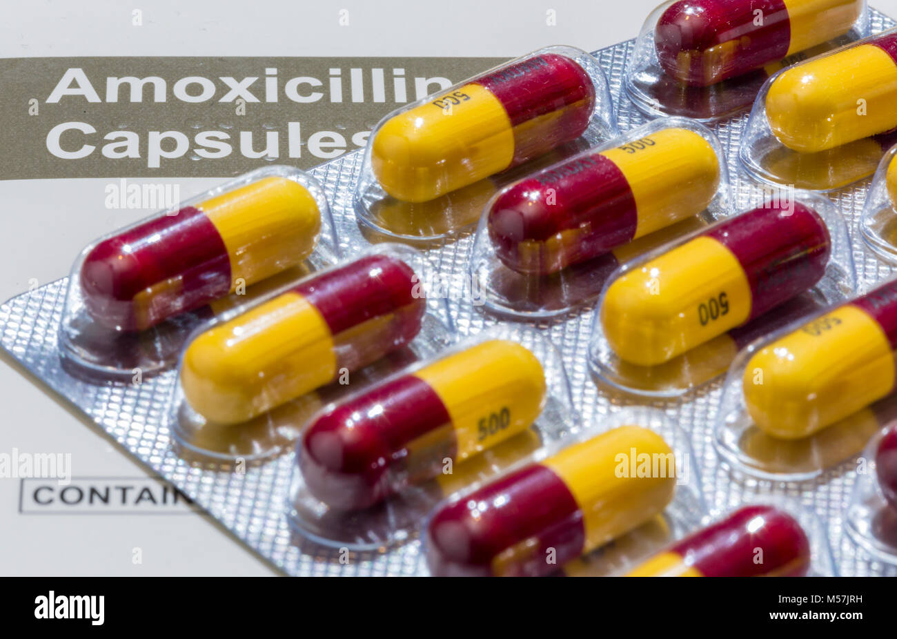 Amoxil Pilule